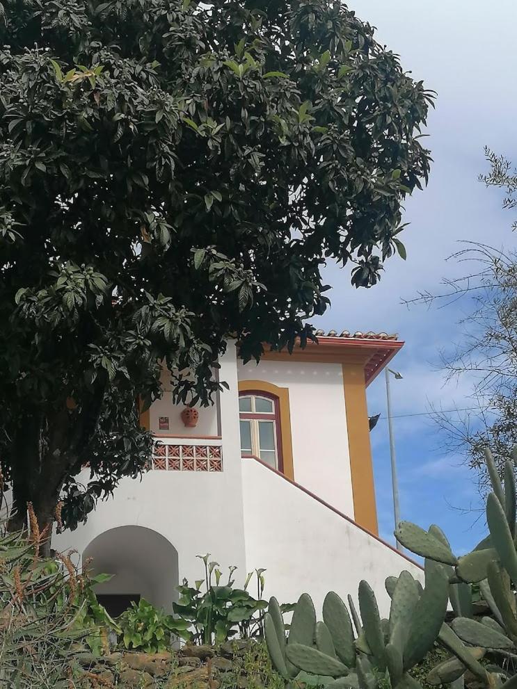 Quinta Do Americano Sardoal Екстер'єр фото